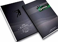 企业画册定制案例展示